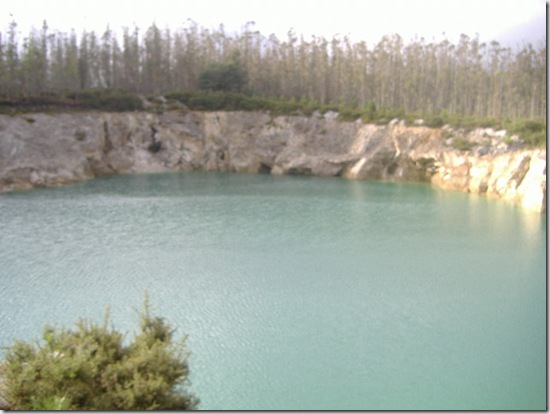 destrozos cereixo 017